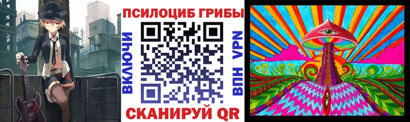 Галлюциногенные грибы MAGIC MUSHROOMS  как найти наркотики  Разумное 